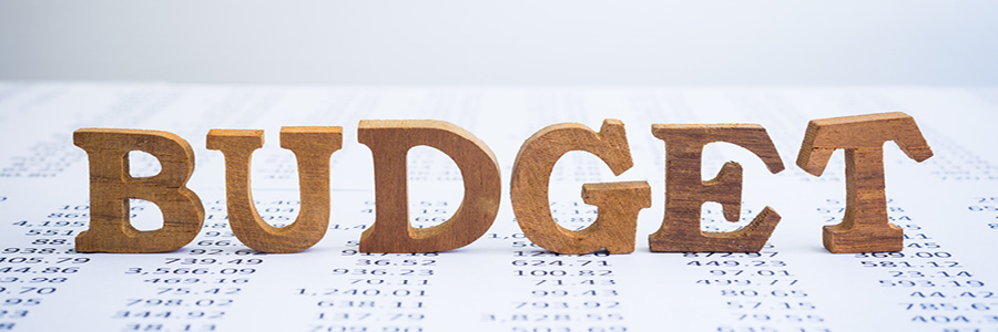 abstract image of the word budget on spreadshteet of numbers
