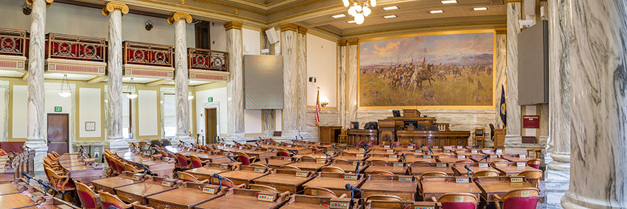 State Administration and Veterans' Affairs Interim  Committee