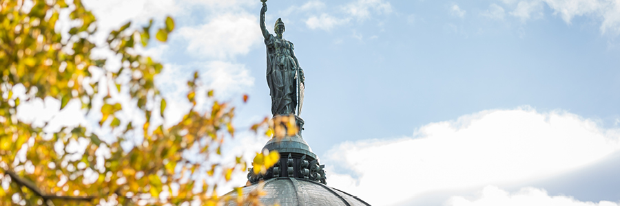 Image of copper dome on the Capitol