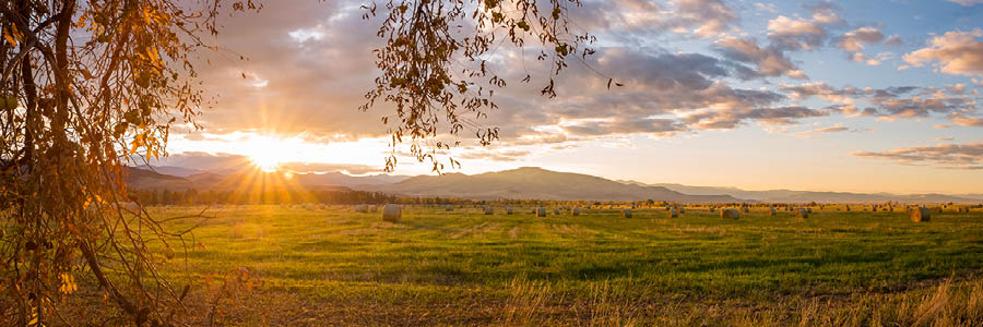 Image of a hayfield and the sun's rays through clouds