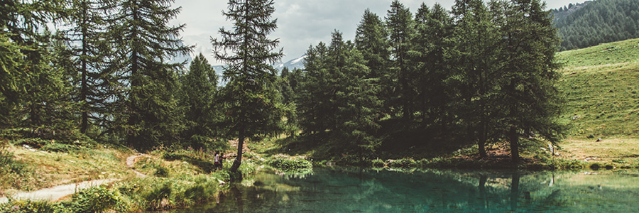 mountain pond