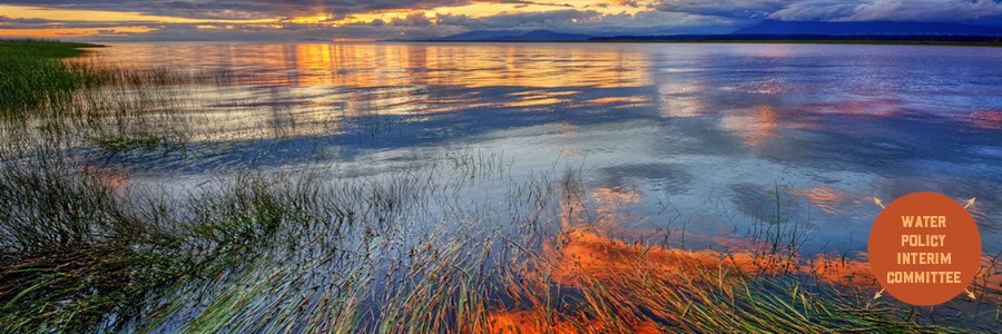 Image of Madison River running through Yellowstone in the winter